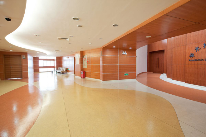 会议厅pvc地板